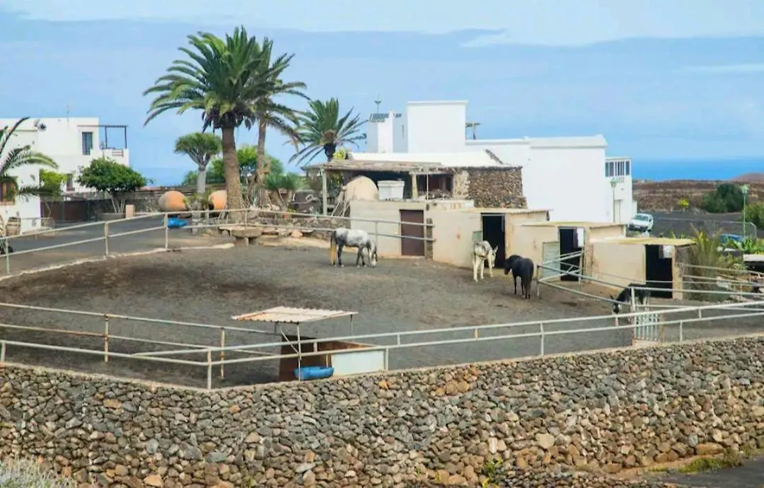 Casa Rural Yeyo En El Crater Del Volcan Тингуатон